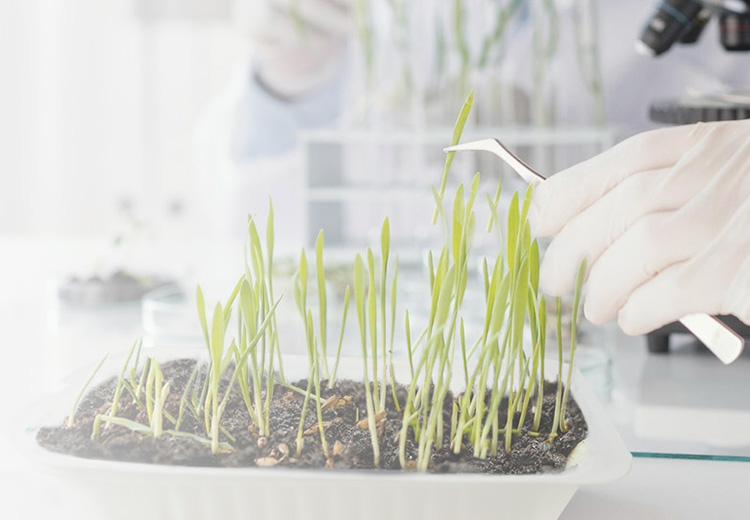 Инновационные исследования и разработки